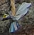 Best image of Grey heron