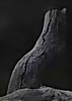 Best image of Pallid scops owl
