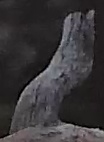 Best image of Pallid scops owl