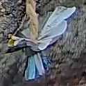 Best image of Grey heron