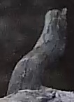 Best image of Pallid scops owl